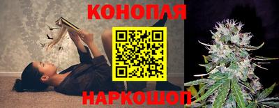 гашик Шебекино