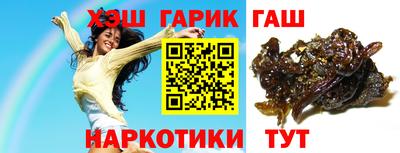 гашик Шебекино