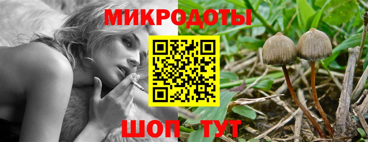 Псилоцибиновые грибы GOLDEN TEACHER Верхняя Салда